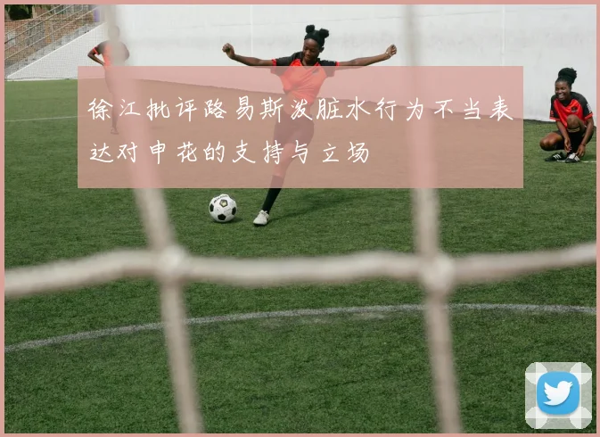 徐江批评路易斯泼脏水行为不当表达对申花的支持与立场