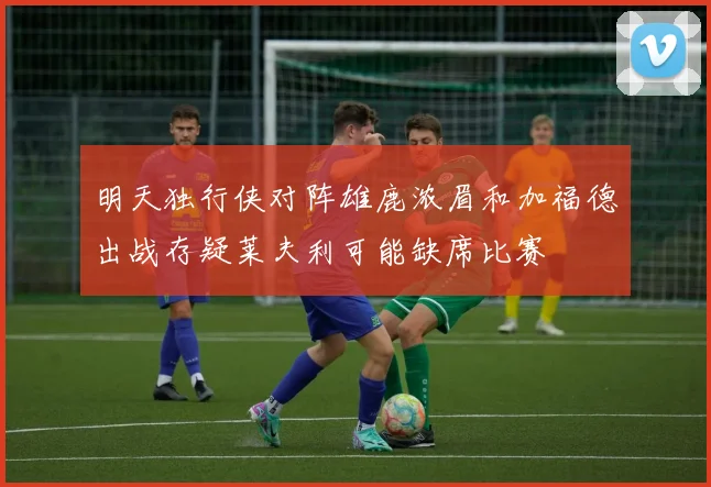 明天独行侠对阵雄鹿浓眉和加福德出战存疑莱夫利可能缺席比赛