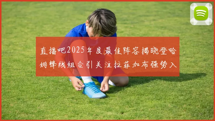 直播吧2025年度最佳阵容揭晓登哈姆锋线组合引关注拉菲加布强势入选