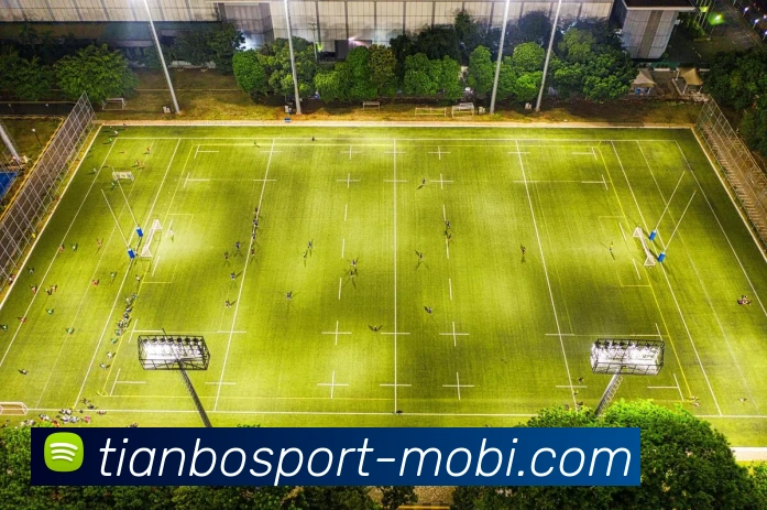 多媒体互动体验