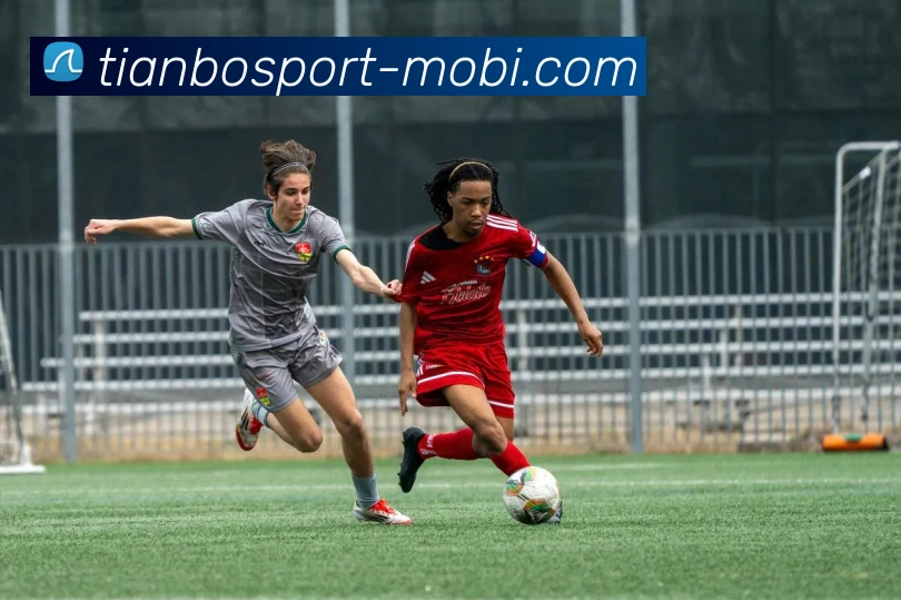 天博体育APP 体育赛事宣传图